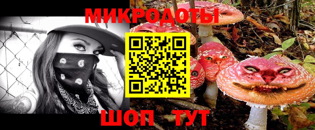 Псилоцибиновые грибы Psilocybe Благовещенск