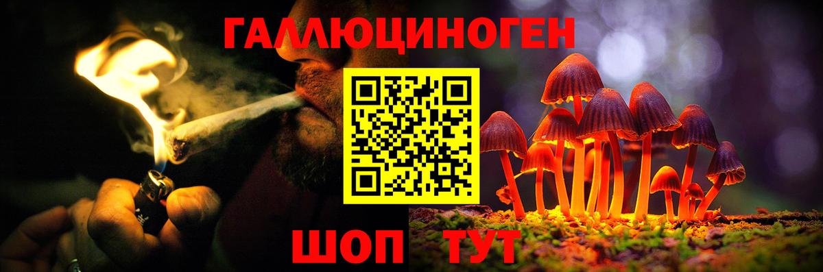 Галлюциногенные грибы Cubensis  Вход с VPN  Благовещенск  купить наркотик  Галлюциногенные грибы мицелий 